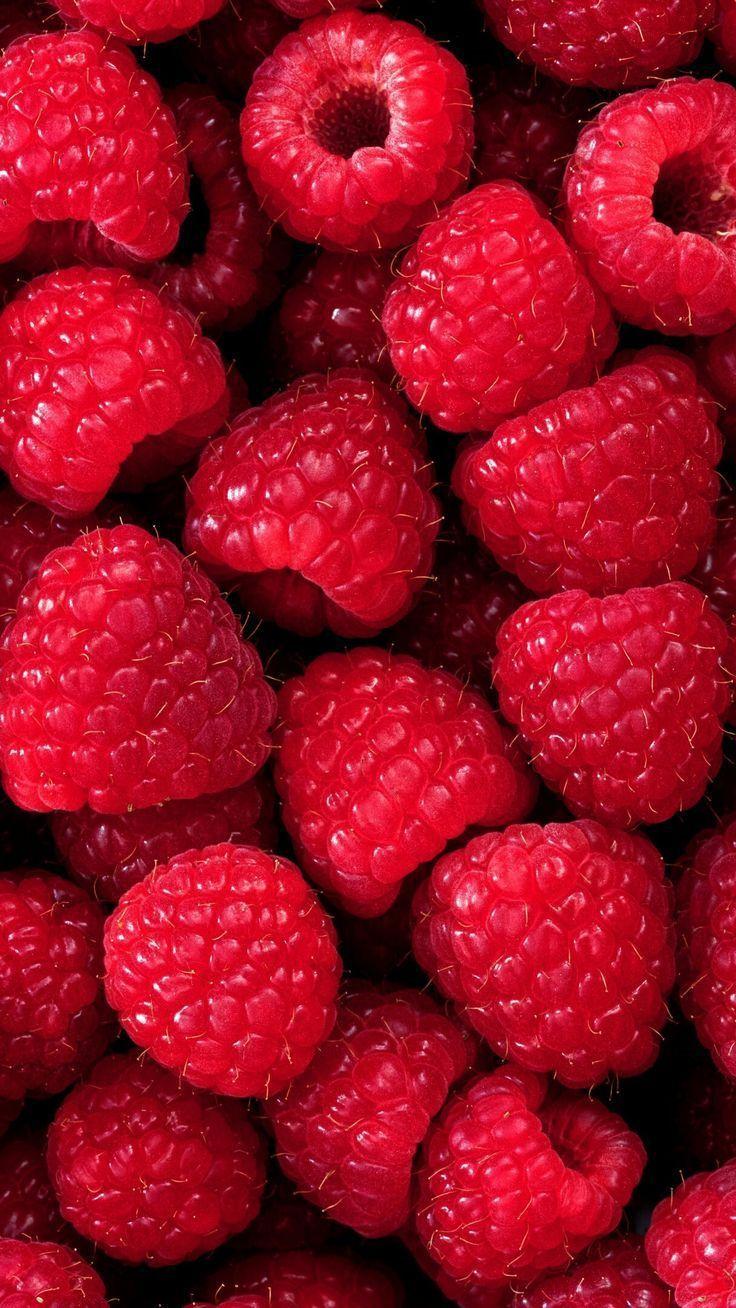 Roots and Fruits Ensemble - Hearty Earthly Morsels